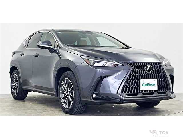 2024 Lexus NX
