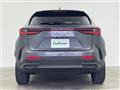 2024 Lexus NX