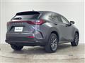 2024 Lexus NX
