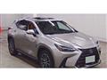 2024 Lexus NX