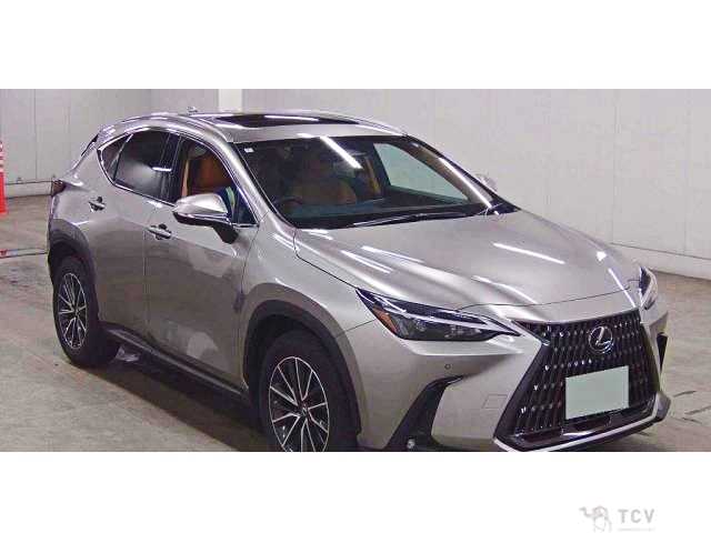 2024 Lexus NX