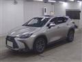 2024 Lexus NX