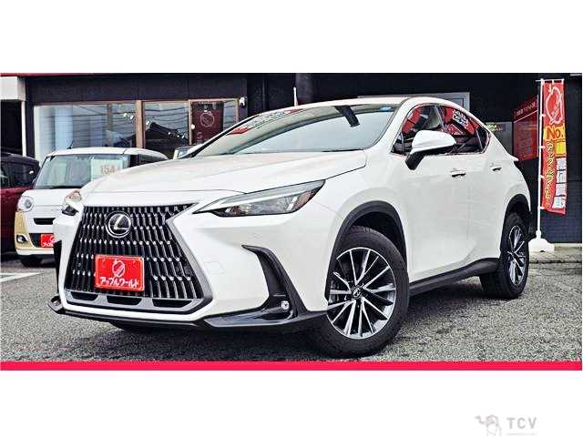 2024 Lexus NX