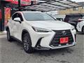 2024 Lexus NX