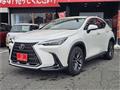2024 Lexus NX