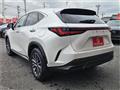 2024 Lexus NX