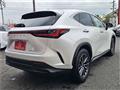 2024 Lexus NX