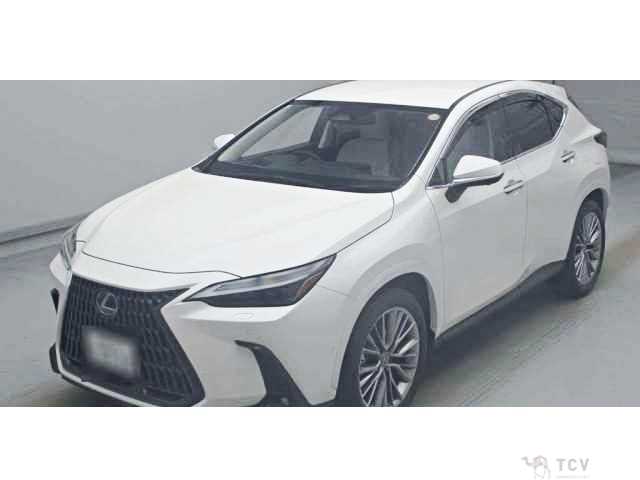 2024 Lexus NX