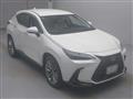 2024 Lexus NX
