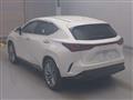 2024 Lexus NX