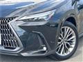 2024 Lexus NX