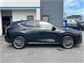 2024 Lexus NX