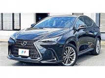 2024 Lexus NX