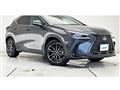 2024 Lexus NX