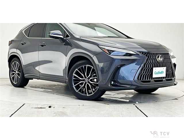 2024 Lexus NX