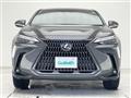 2024 Lexus NX
