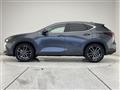 2024 Lexus NX
