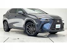 2024 Lexus NX