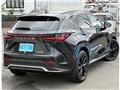 2024 Lexus NX