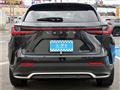 2024 Lexus NX