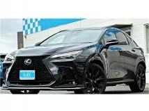 2024 Lexus NX