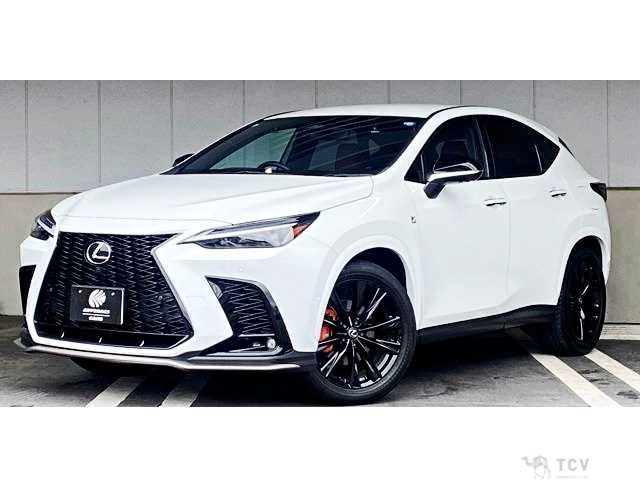 2024 Lexus NX