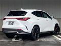 2024 Lexus NX