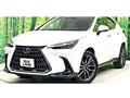 2024 Lexus NX