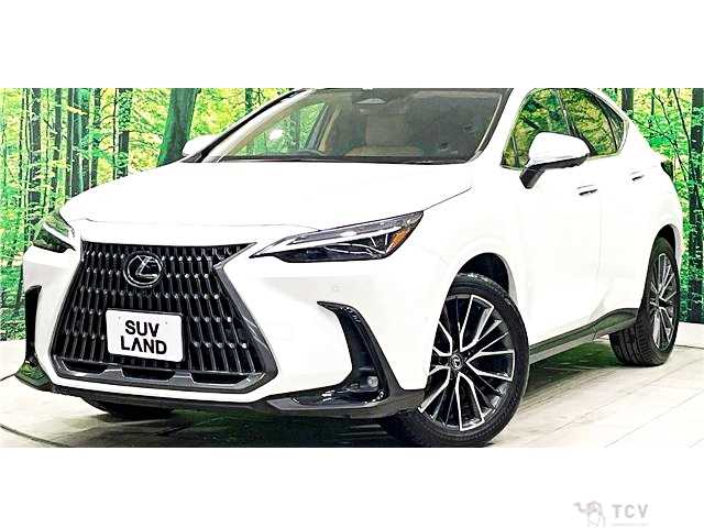 2024 Lexus NX