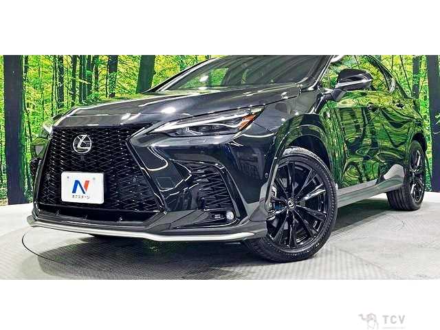 2024 Lexus NX