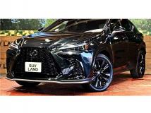 2024 Lexus NX