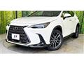 2024 Lexus NX