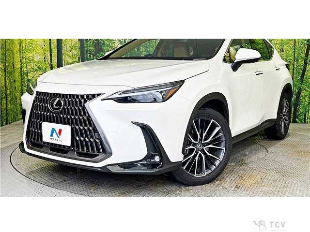2024 Lexus NX