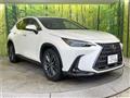 2024 Lexus NX