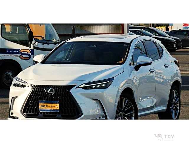2024 Lexus NX