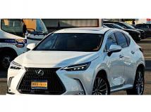 2024 Lexus NX