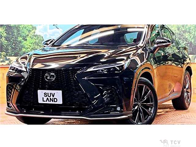 2024 Lexus NX