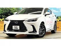 2024 Lexus NX