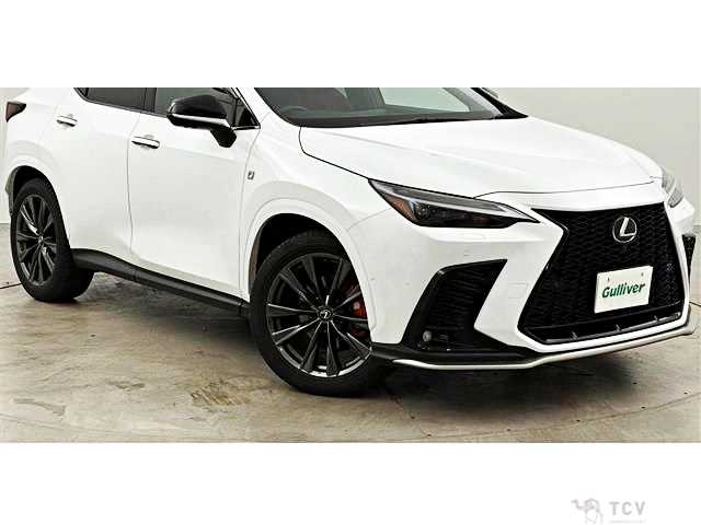 2024 Lexus NX