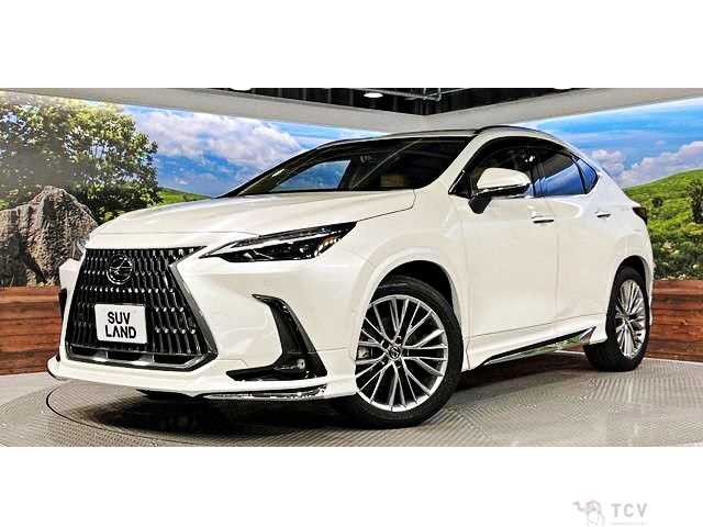 2024 Lexus NX