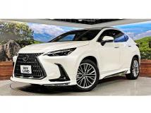 2024 Lexus NX