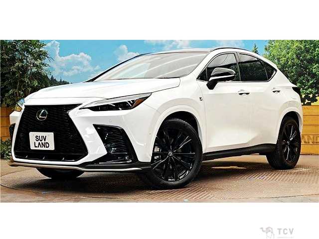 2024 Lexus NX
