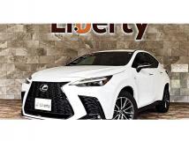 2024 Lexus NX