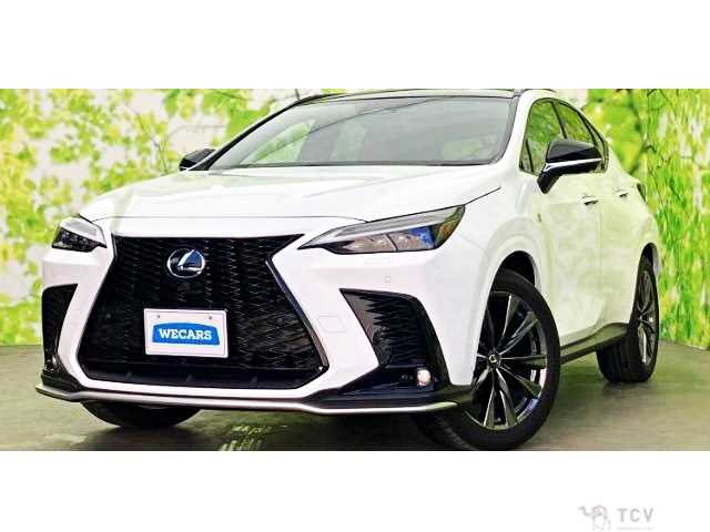 2024 Lexus NX