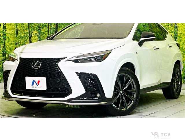 2024 Lexus NX