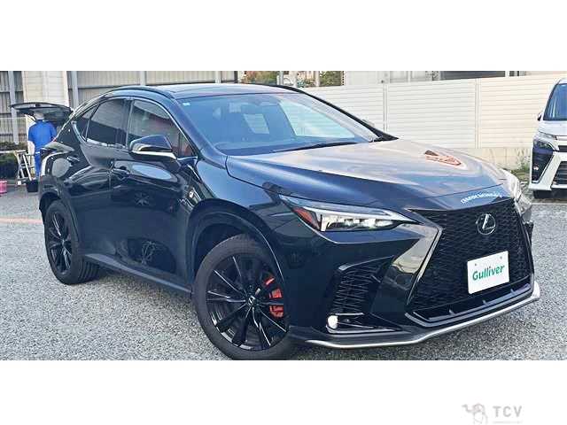 2024 Lexus NX
