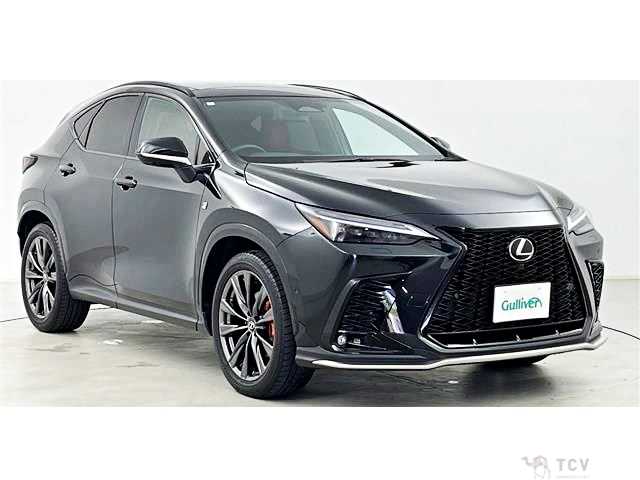2024 Lexus NX