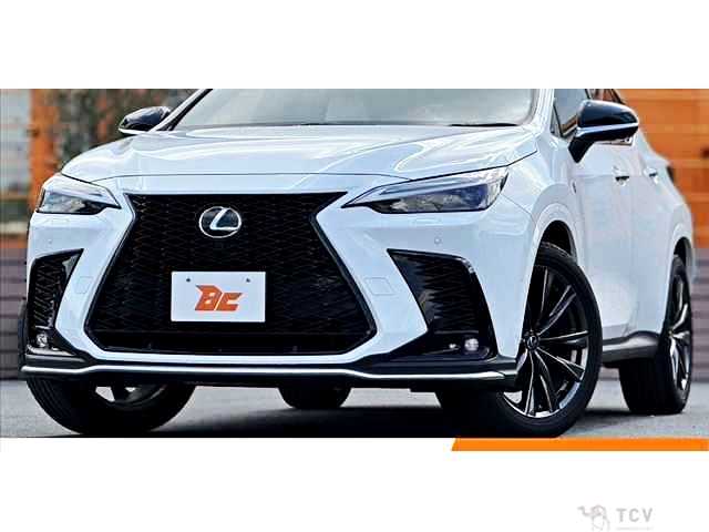 2024 Lexus NX
