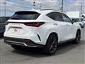 2024 Lexus NX