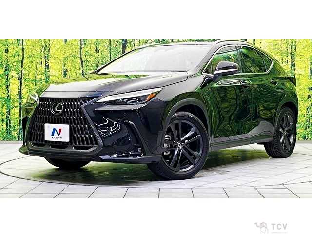 2024 Lexus NX